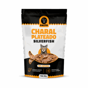 Charales