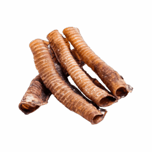 Tráquea de Res Pieza